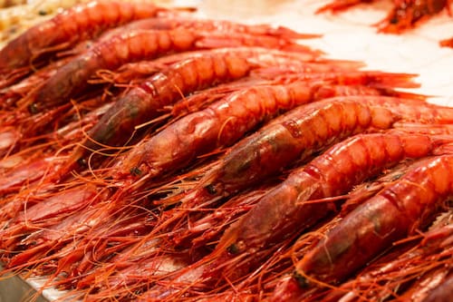 خرید استثنایی میگو پرورشی سایز 190